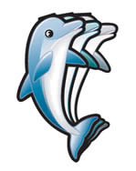 Dolphin