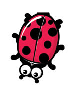 Ladybug