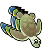 Sea Turtle